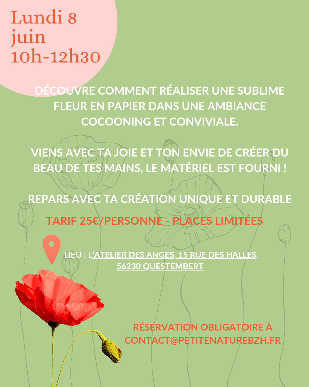 Atelier fleurs en papier coquelicot
