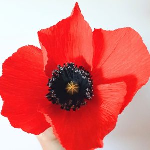 Coquelicots en papier crépon
