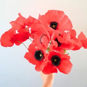 Coquelicots en papier crépon