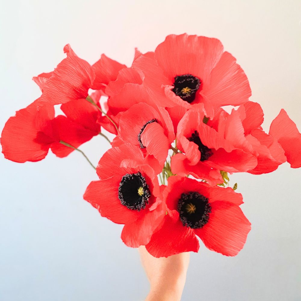 Coquelicots en papier crépon