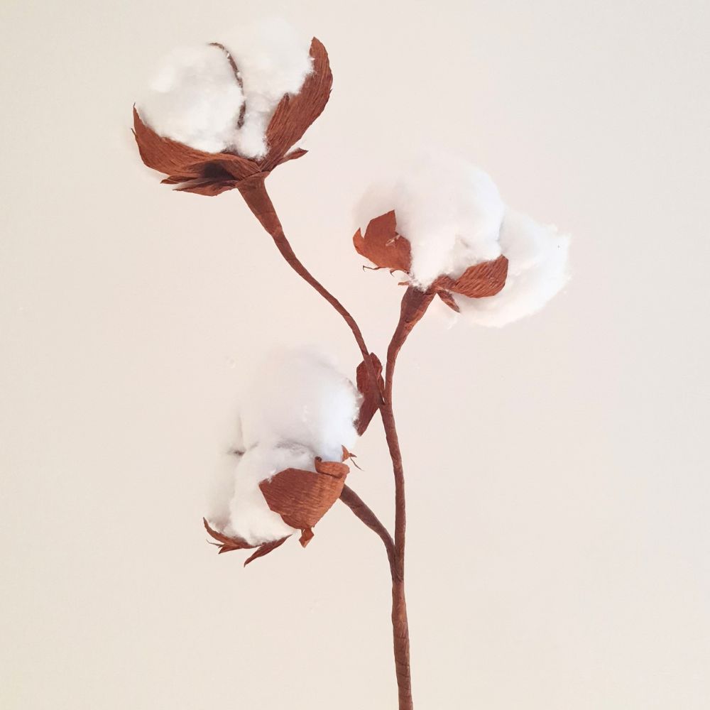 Fleur de coton en papier crépon