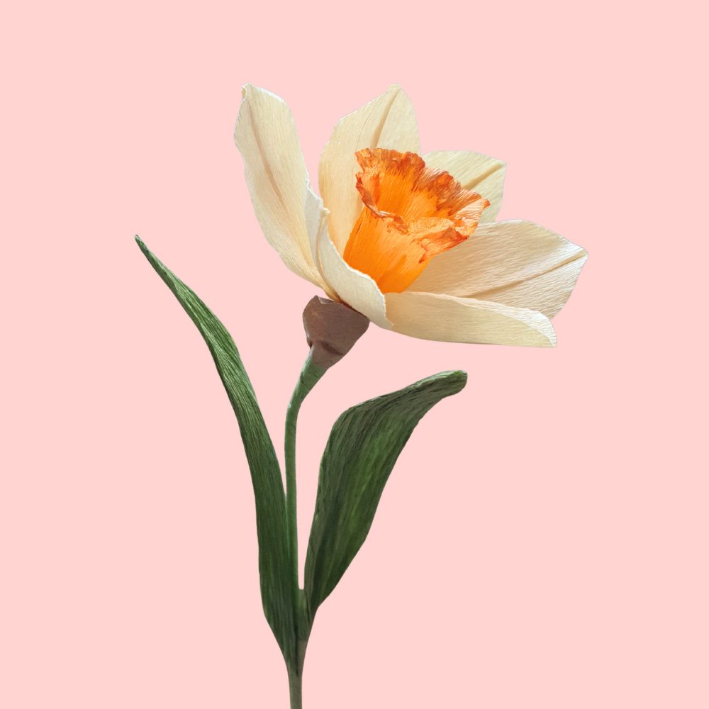 Jonquille en papier