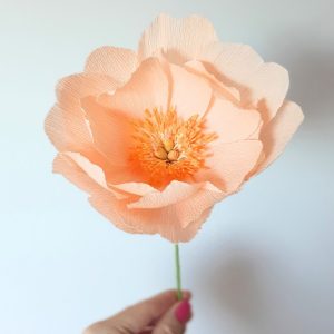 Pivoine en papier - Pêche