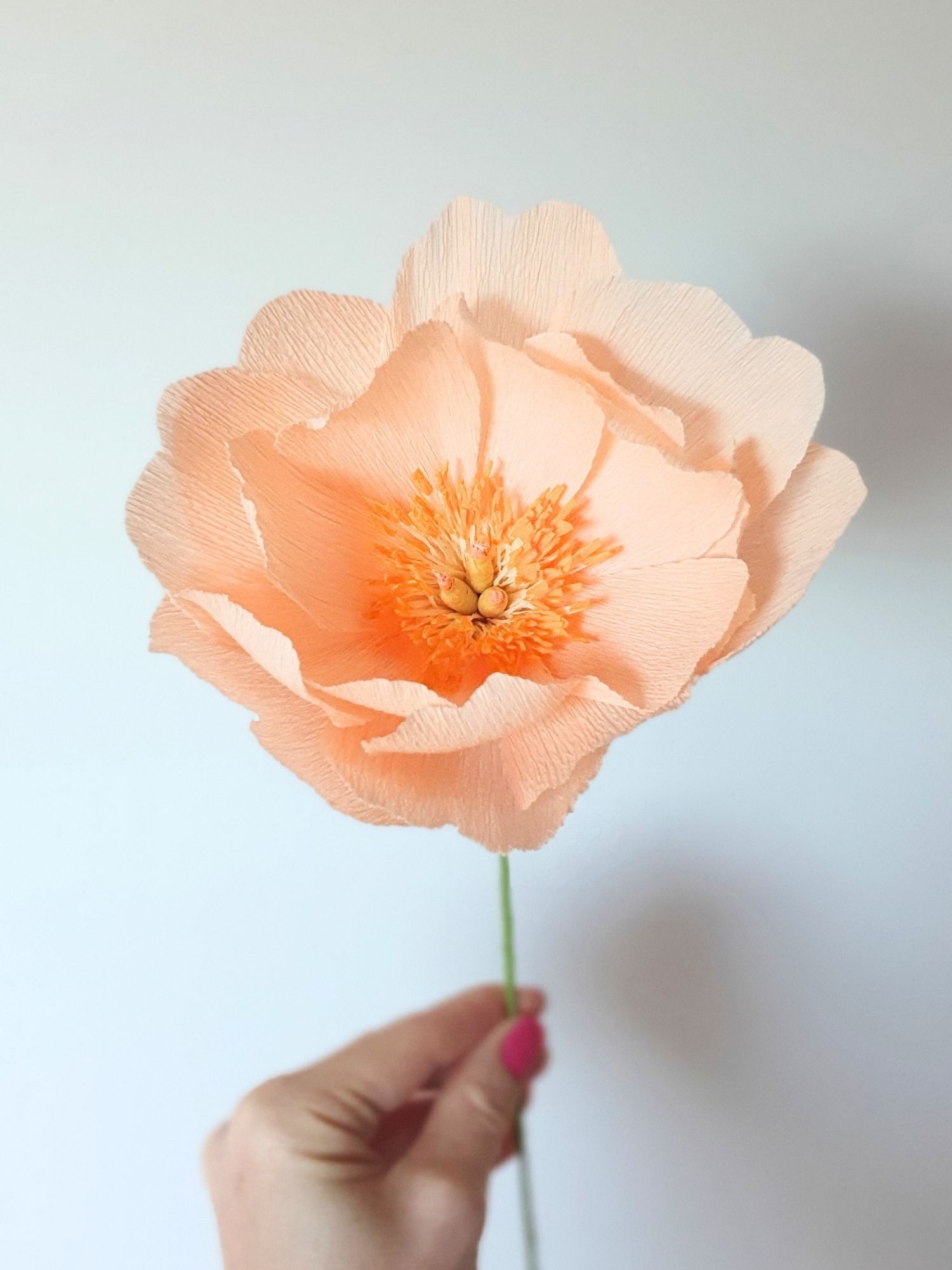 Pivoine en papier - Pêche