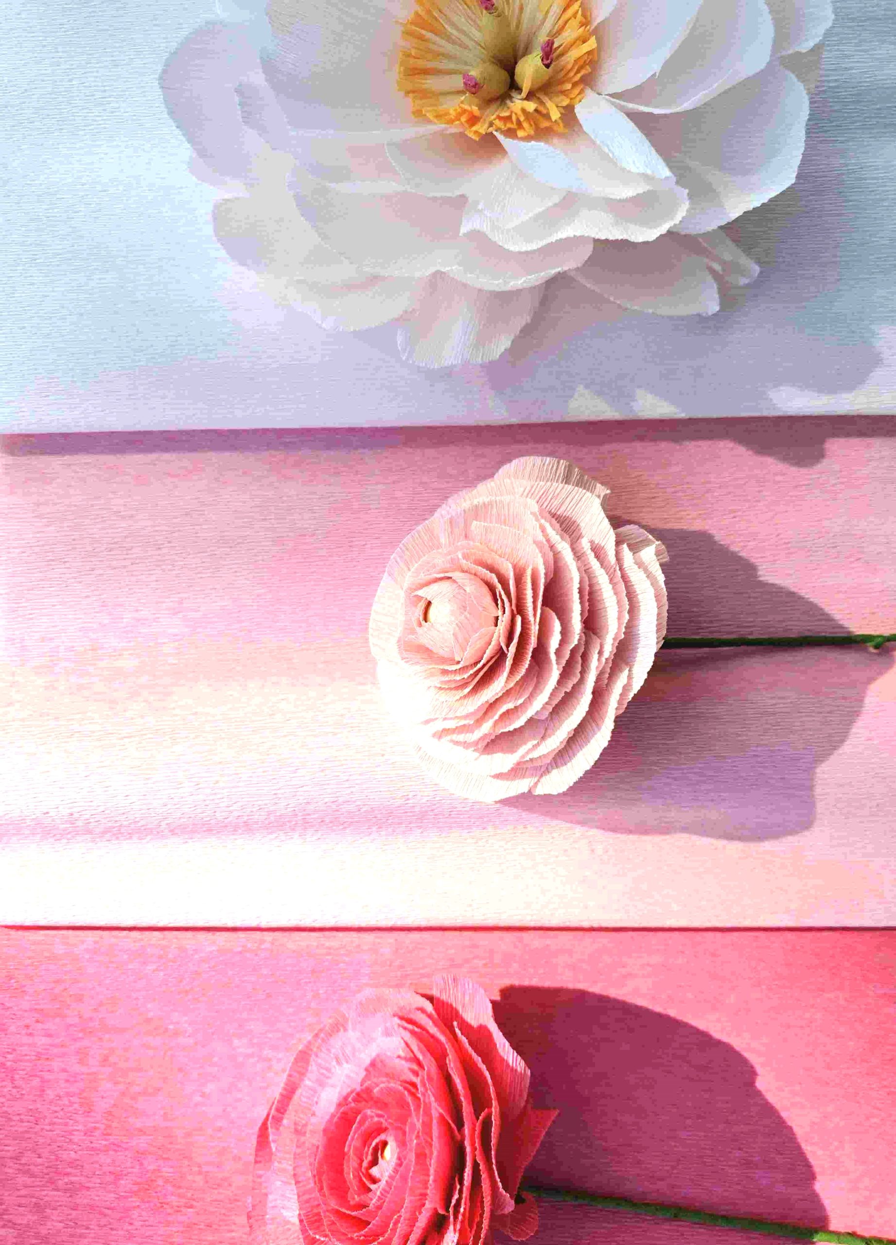 Papier crépon rose - Fleur en papier