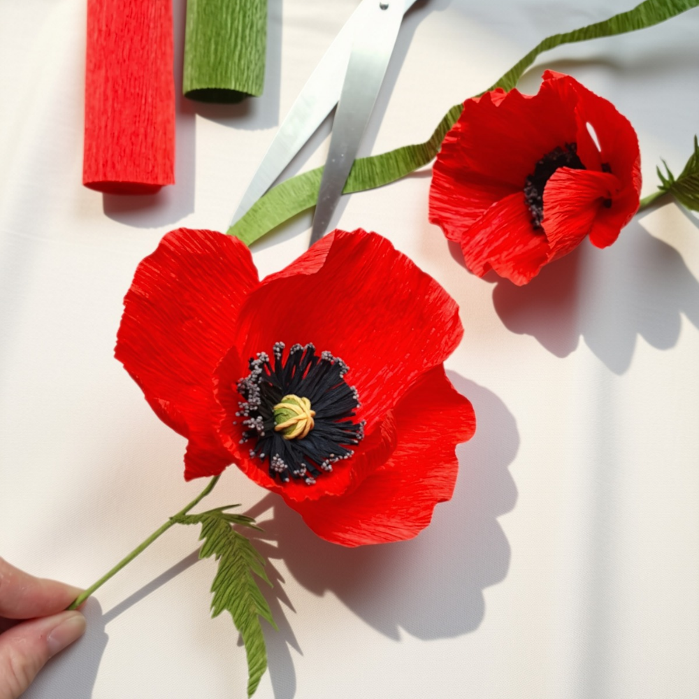 coquelicot en papier